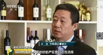 本土特色與大單品 國(guó)產(chǎn)葡萄酒在銷(xiāo)售壓力下的突圍路徑探索