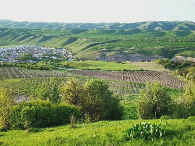 斬獲2024 CMB 10枚大獎(jiǎng)，絲路酒莊彰顯國(guó)產(chǎn)葡萄酒強(qiáng)勁發(fā)展勢(shì)頭